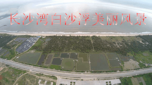 ɳɳ羰.gif