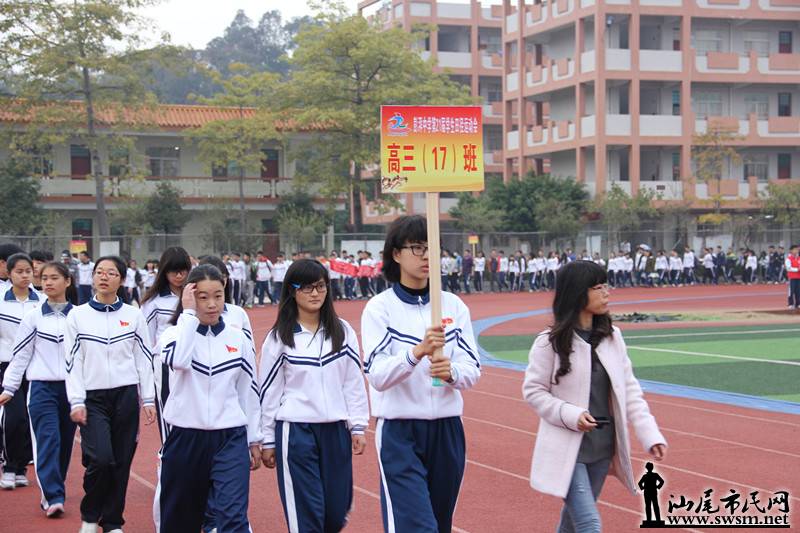 17.JPG
