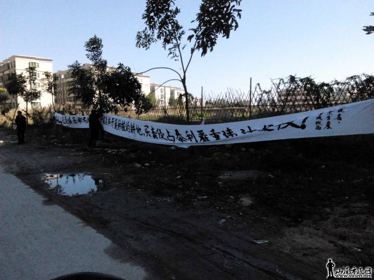 162124qnwj3jeve73nvej6.jpg