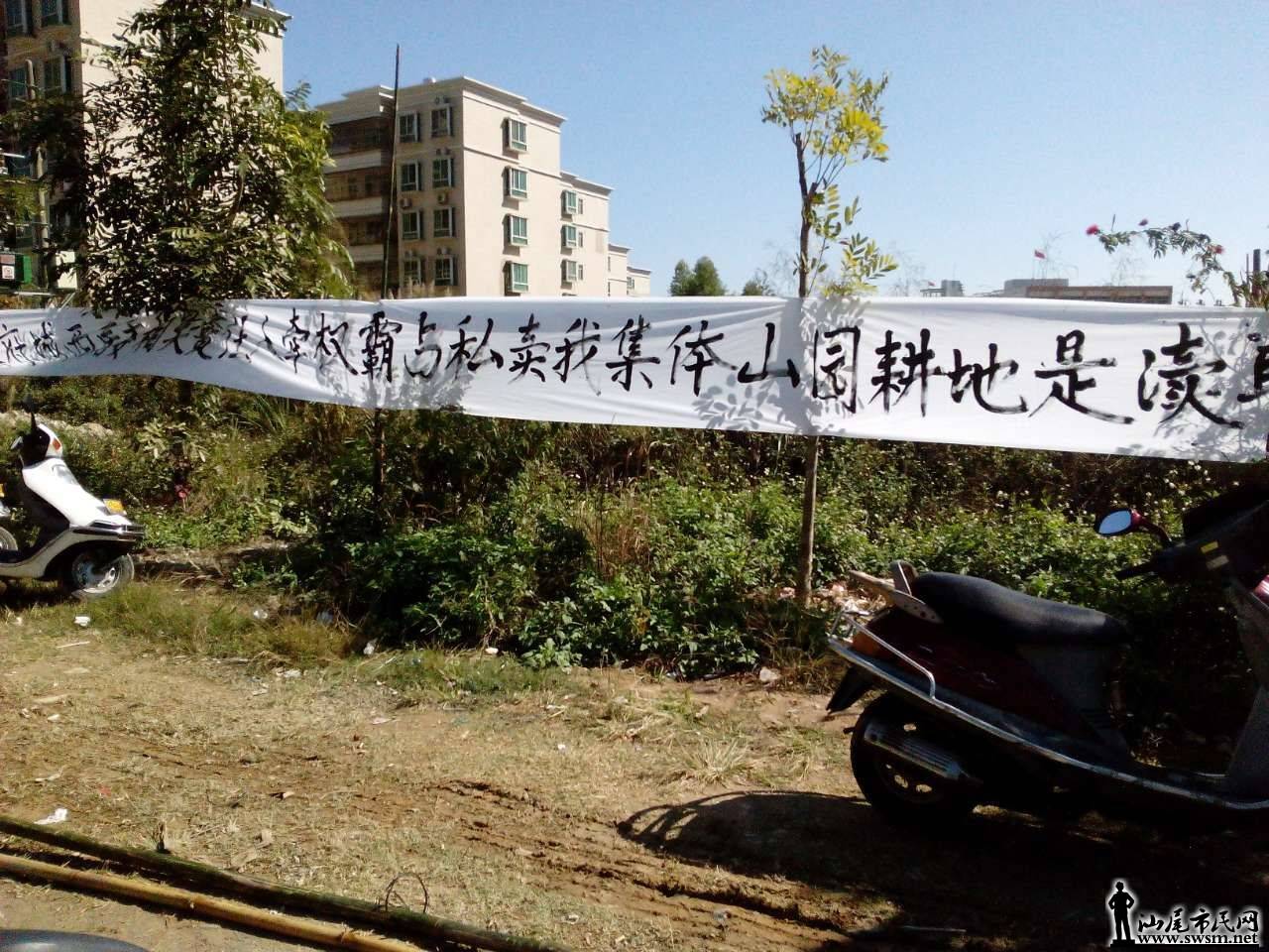 162146hwnn5w2mko2pnkxn.jpg