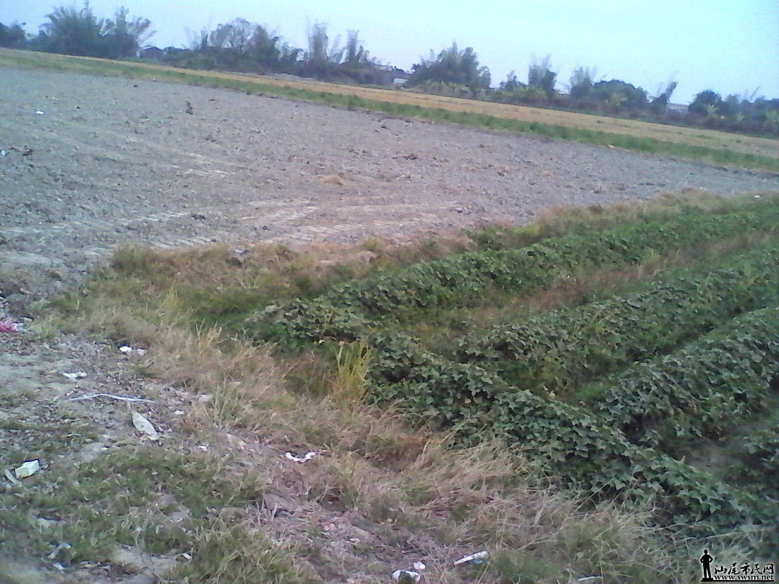IMG_20150124_121446.jpg