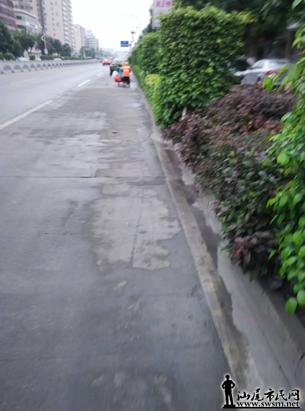 IMG_20150112_160410.jpg