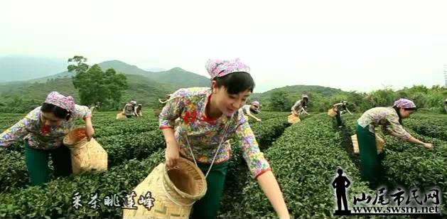 2.webp (1).jpg