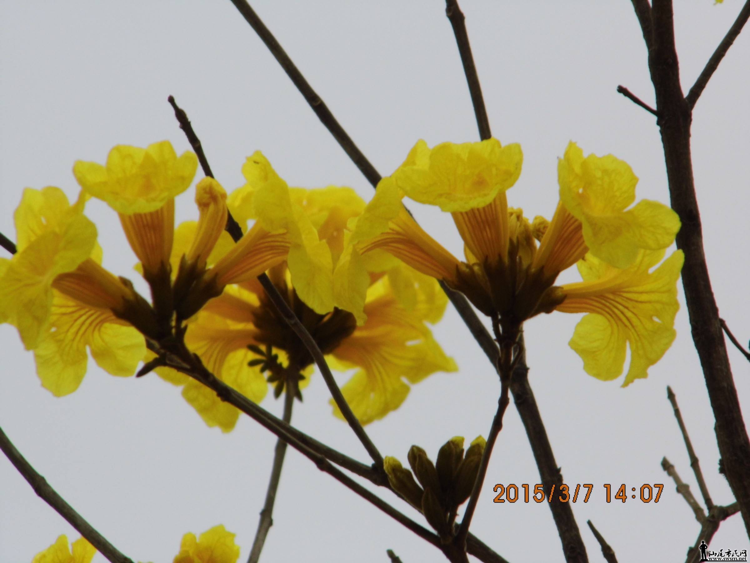 IMG_2897.jpg