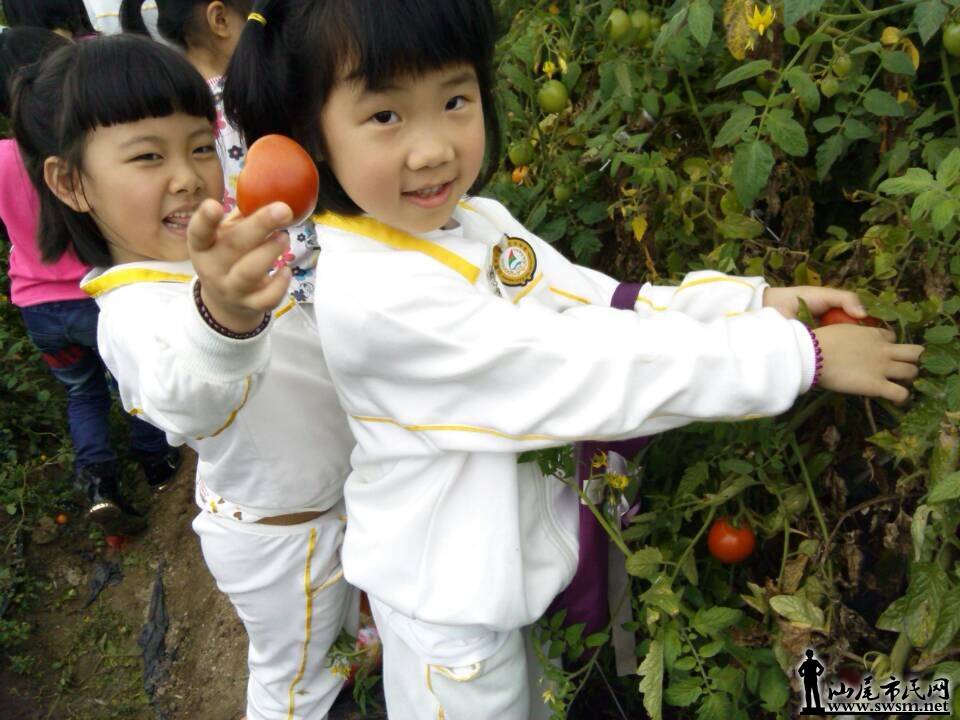 QQͼƬ20150316145009.jpg
