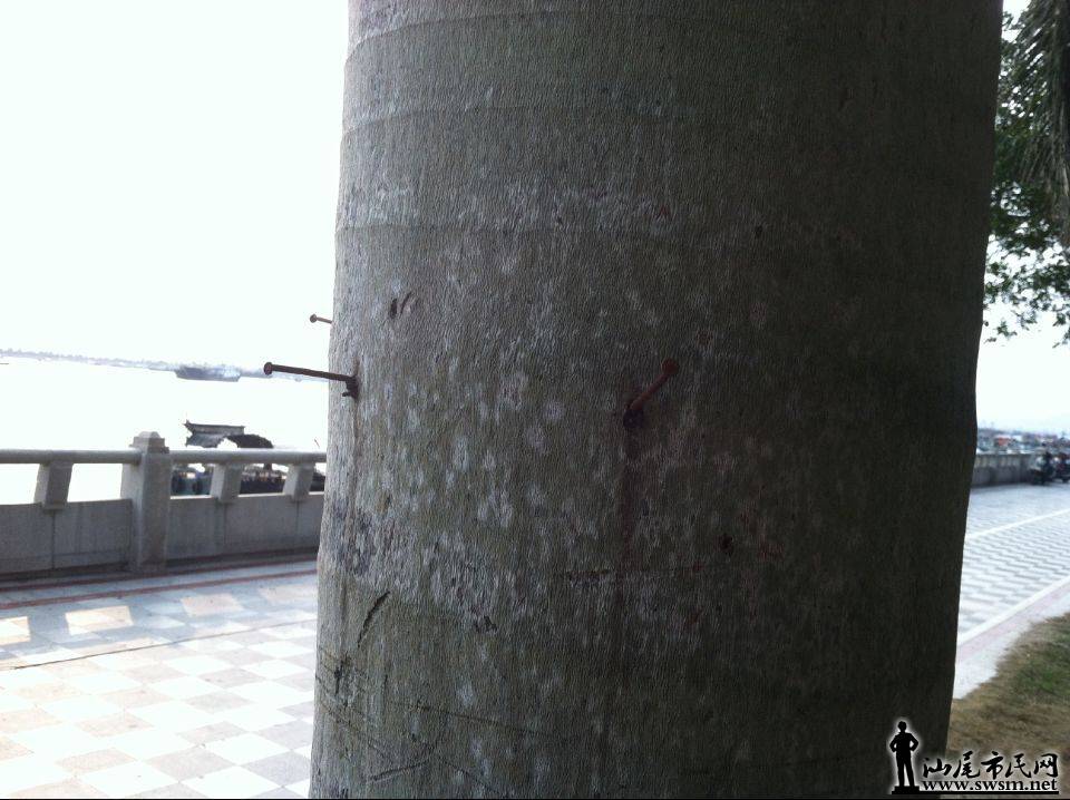 QQͼƬ20150323111653.jpg