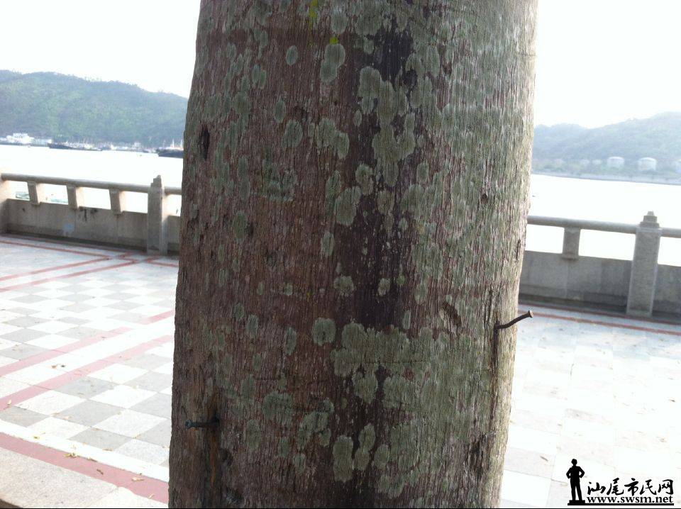 QQͼƬ20150323111700.jpg