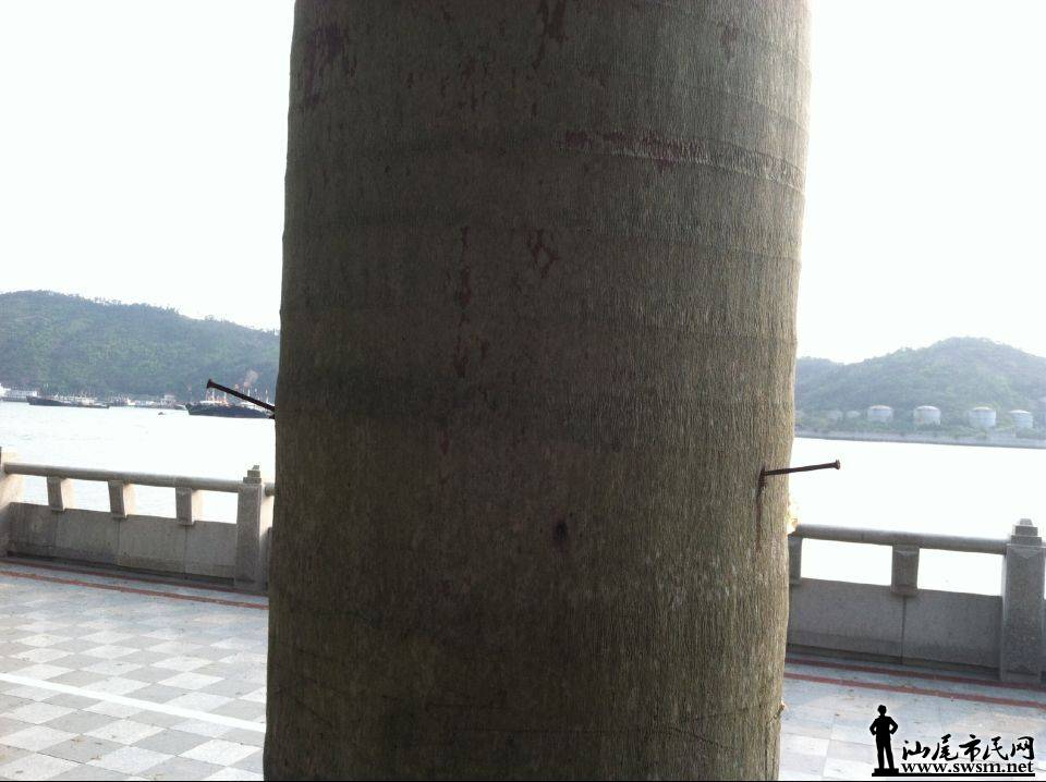QQͼƬ20150323111714.jpg
