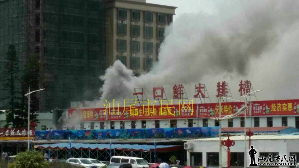 5555.jpg