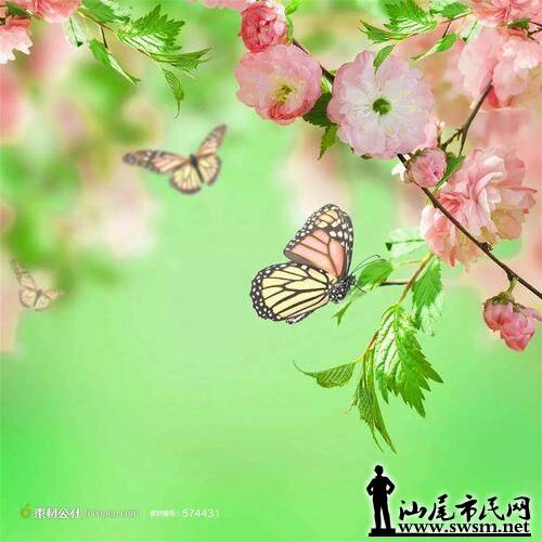 QQͼƬ20150503153452.jpg