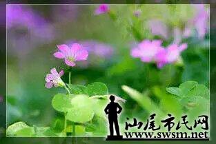 QQͼƬ20150503153433.jpg