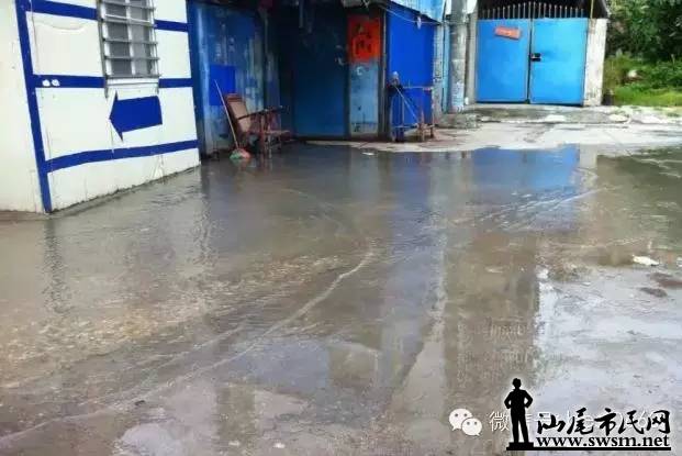64030.webp.jpg
