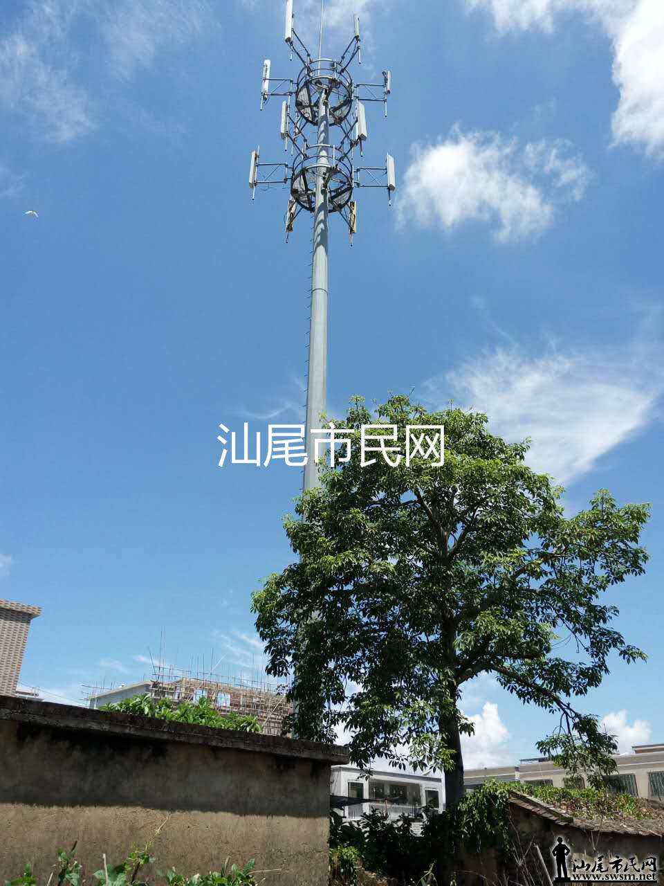 7964135098610798414_meitu_3.jpg