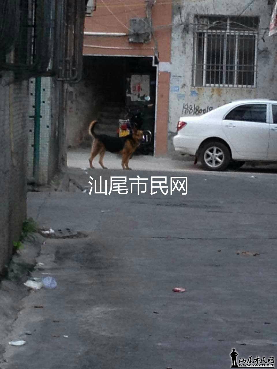 8469412736875490742_meitu_5.jpg