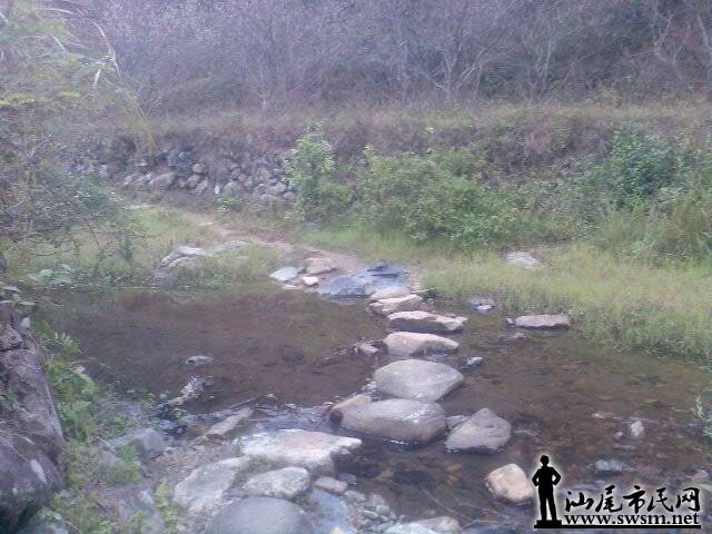 iPad_Photo_20150123184748F8ZR.JPG