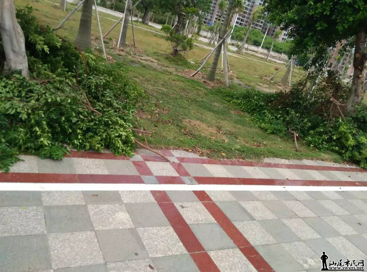 δ81.jpg