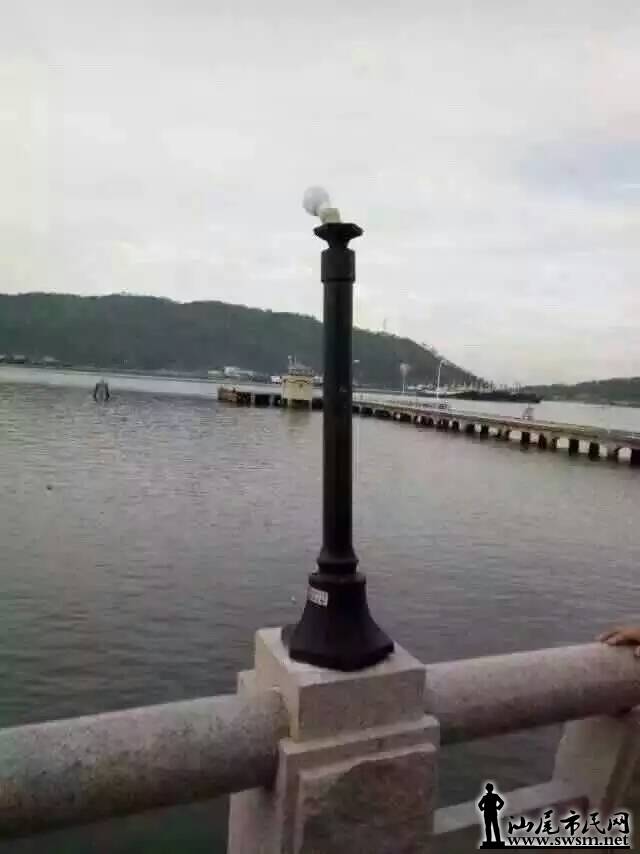 42496520179583659.jpg