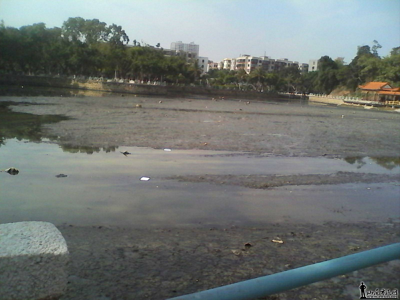 083256hfgfu6codc8o03ue.jpg