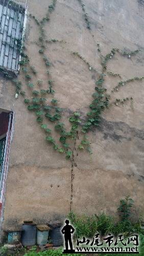 20151004_105303.jpg