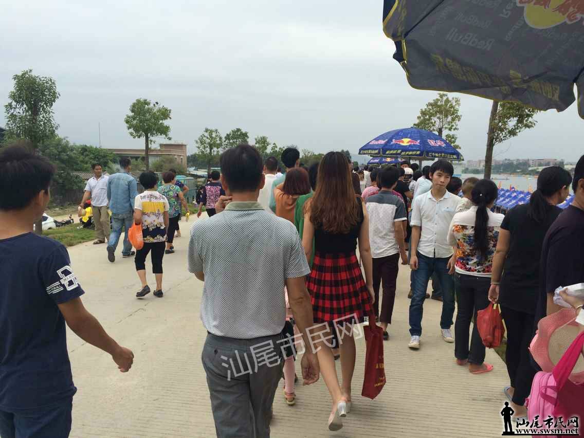 QQtupian20151107095544.jpg