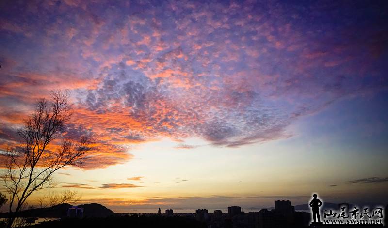 dsc02959-2_.jpg