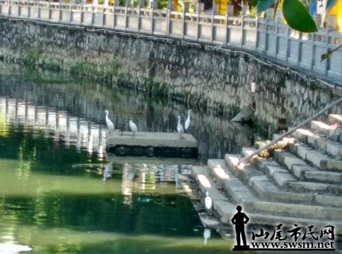 IMG_20151218_115007_HDR.jpg