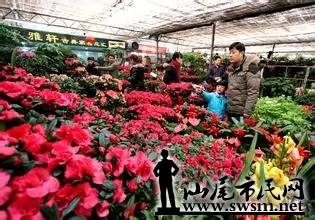640.webp (14).jpg