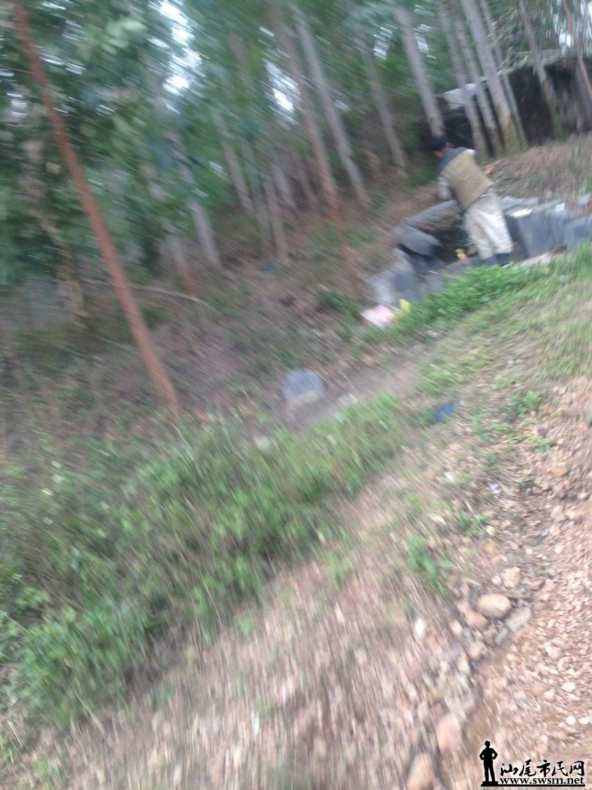 QQͼƬ20160201073351.jpg