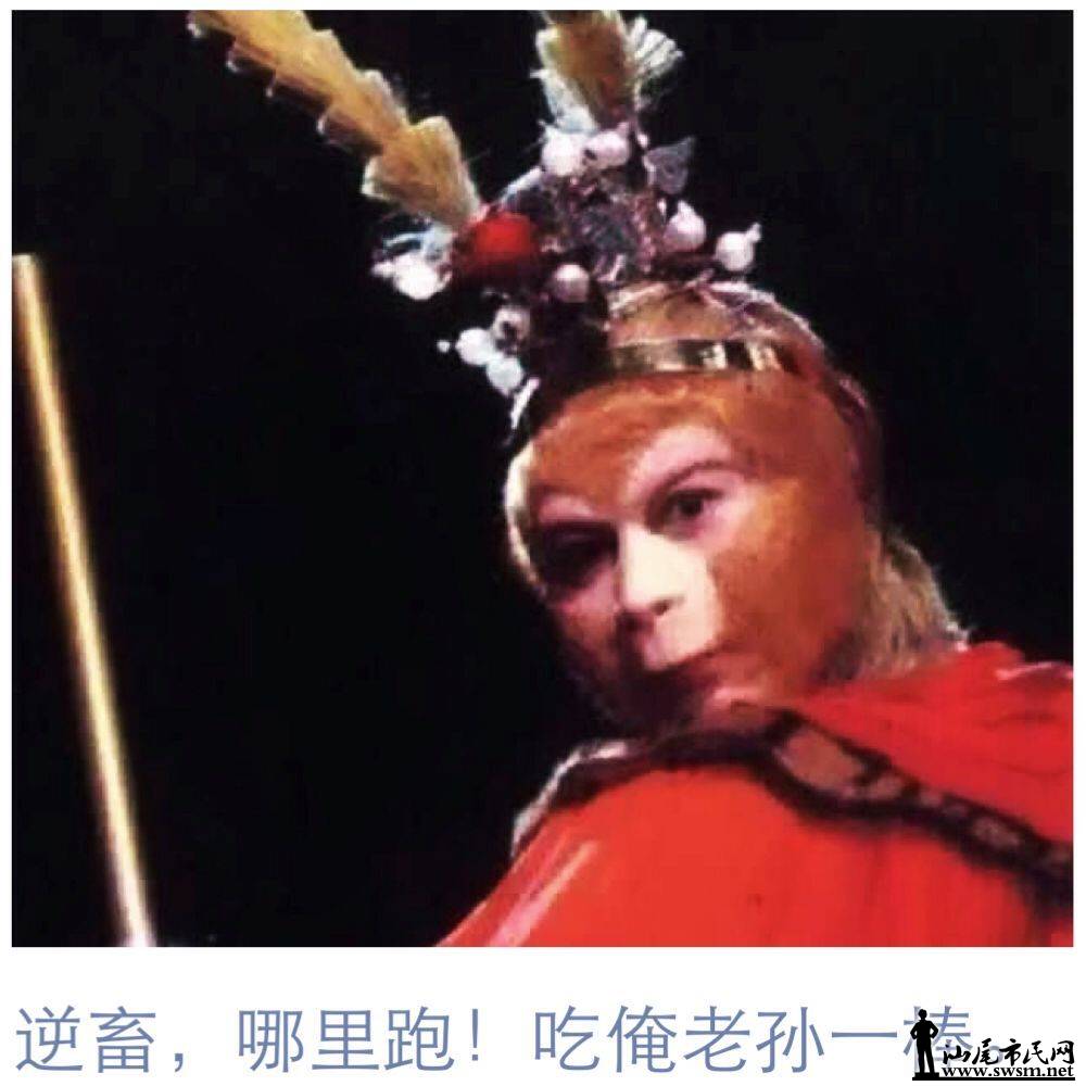 QQͼƬ20160209074530.jpg