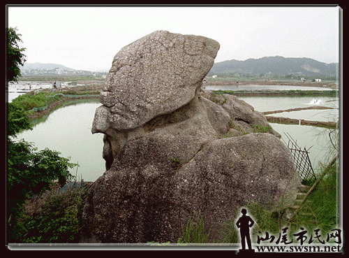 20080121_42bd84002b4b413719d8rlR6teE3tmsc.gif