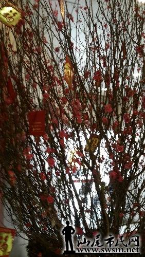 20160220_122555.jpg