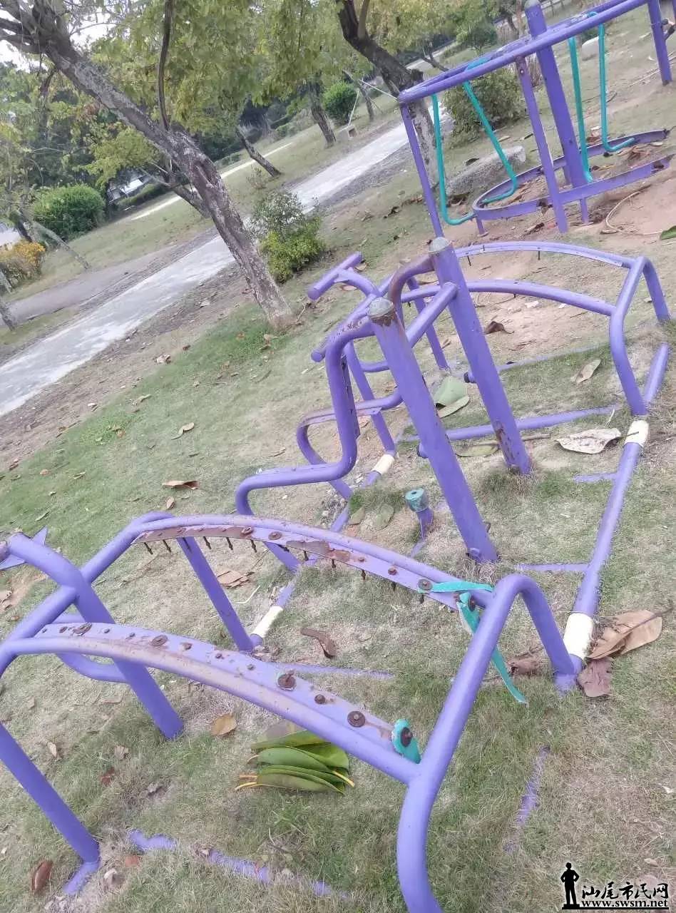 δ7.jpg