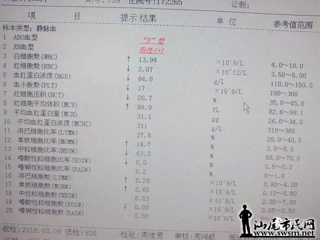 640.webp (18).jpg