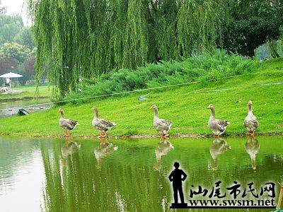 56be3f30db8b55c5e3034.jpg