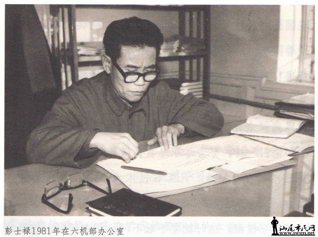 ʿ»1981칫.jpg