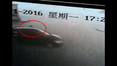 0 (1).gif