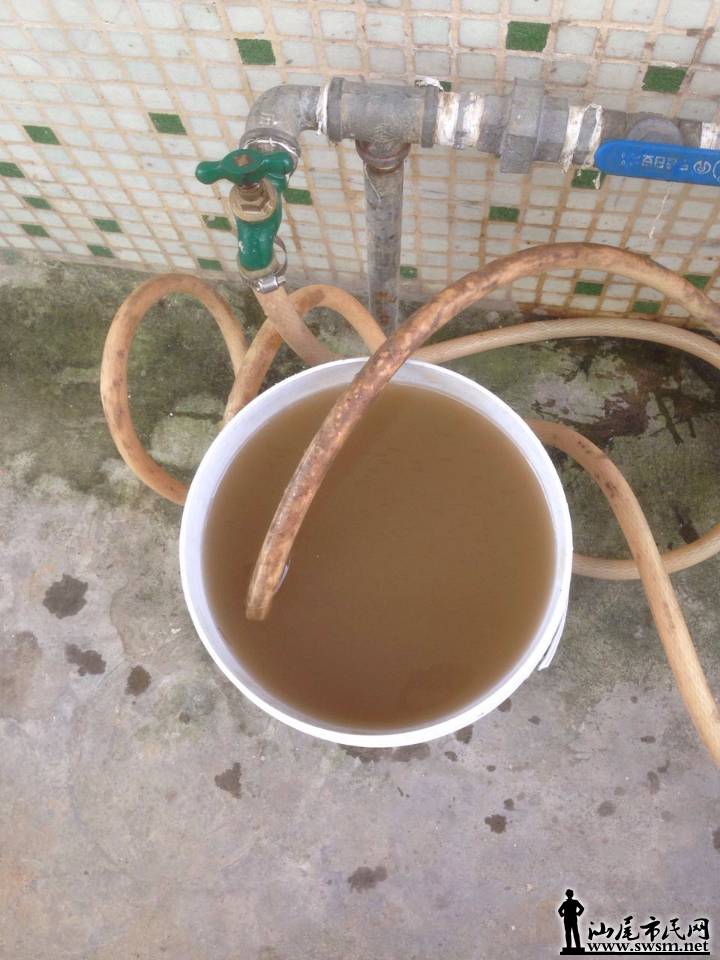 image.jpeg