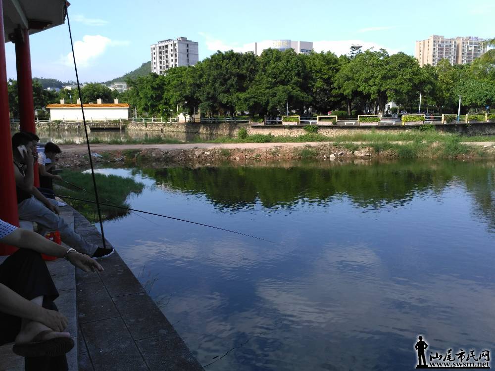 IMG_20160820_161832.jpg