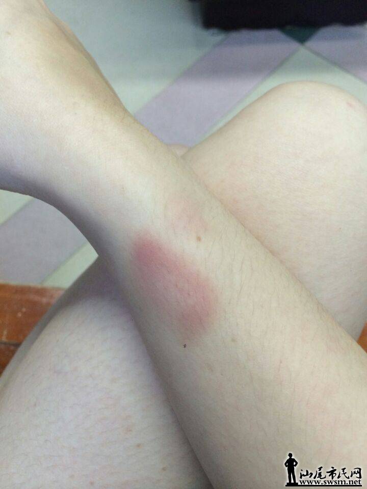 QQͼƬ20160821090307.jpg