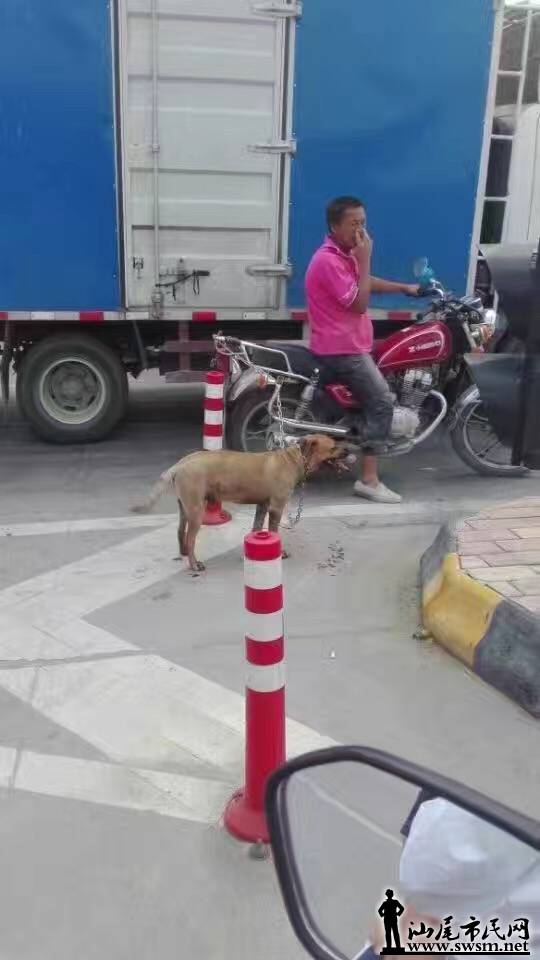 image.jpeg