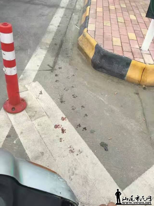 image.jpeg