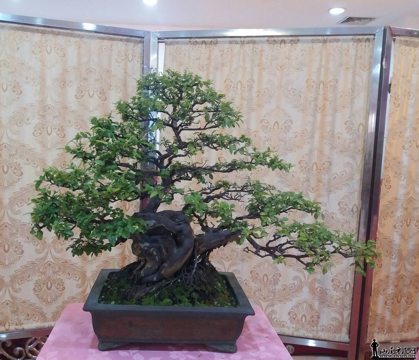 20161022_164109-1.jpg