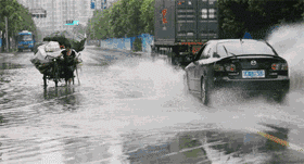 4.gif