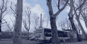 5.gif
