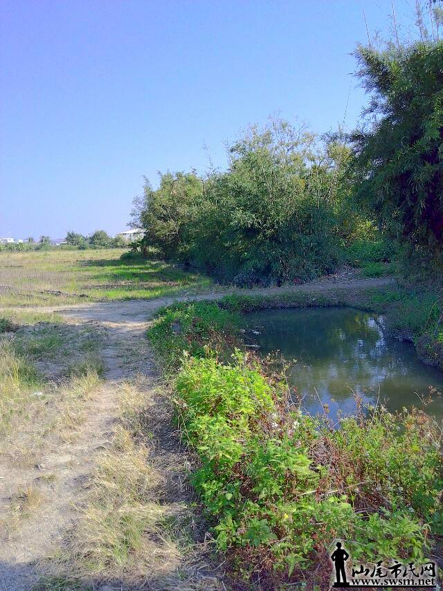 mmexport1482116721399.jpg