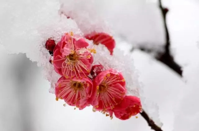 640.webp (13).jpg
