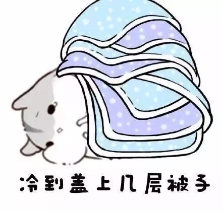 5.webp.jpg