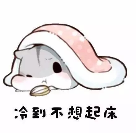 4.webp.jpg