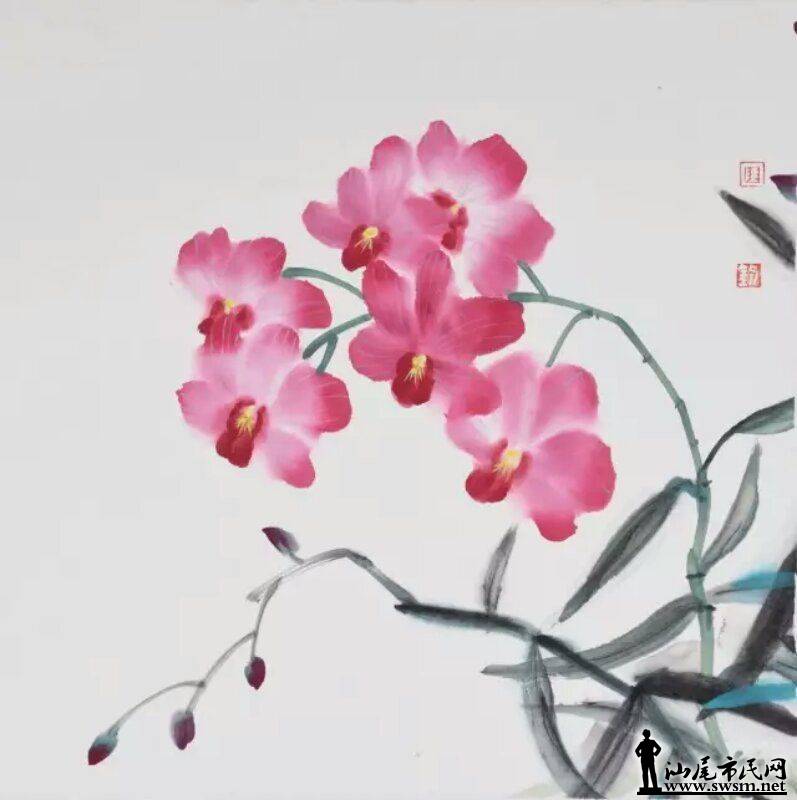 1e78c320ffc9cced95d5a6dbb5156b56_.jpg