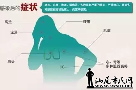 6.png
